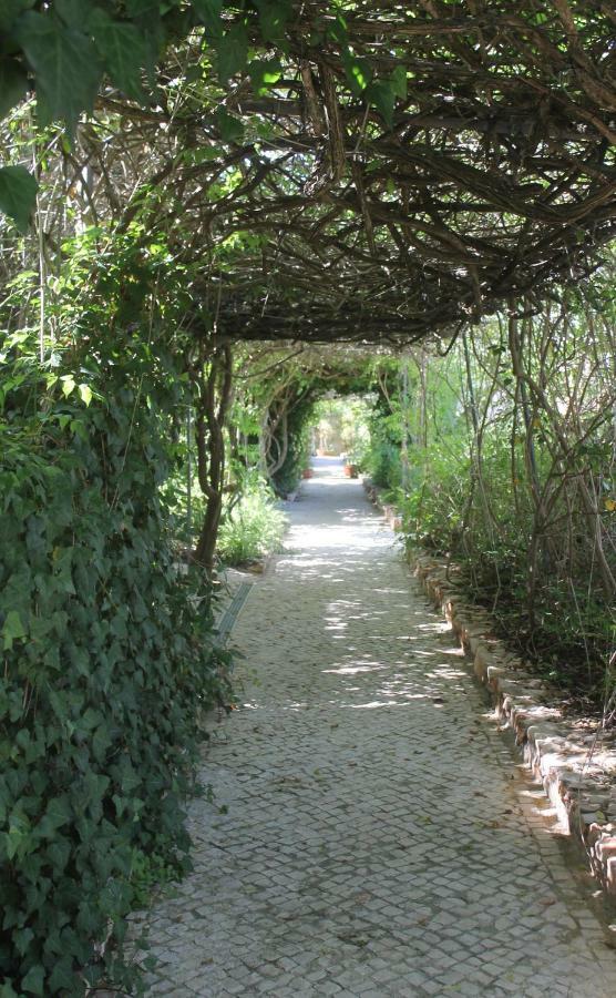 Canavial Garden (Adults Only) لاغوس المظهر الخارجي الصورة